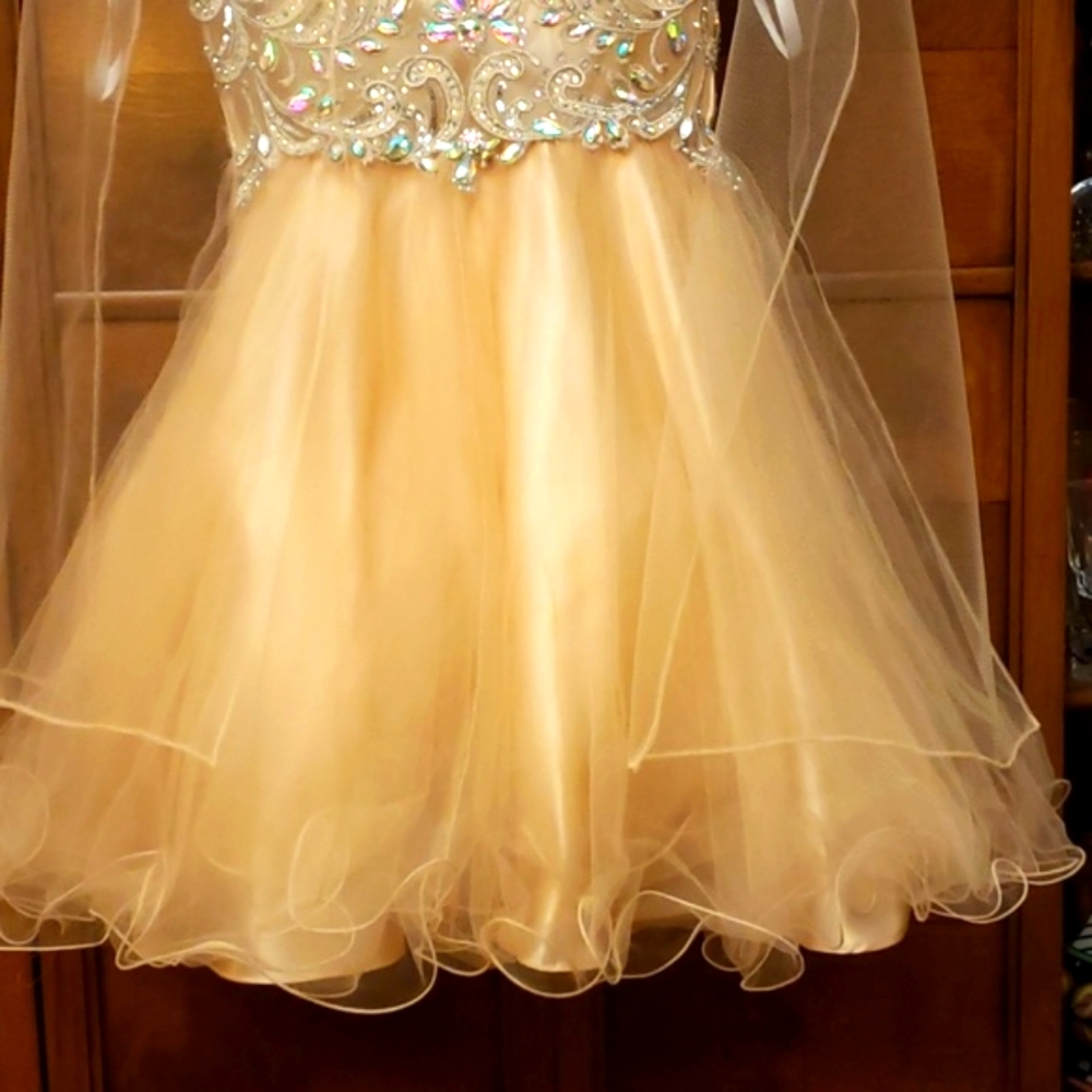 Dancing Queen Sequin Applique Dress Size XS - Picture 2 of 8